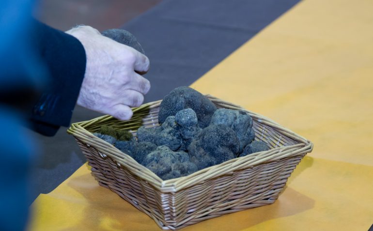 Aprobados 360.000 euros para el fomento del cultivo de la trufa negra en la provincia de Huesca