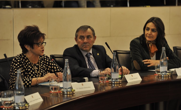 El pleno de la Diputación Provincial de Huesca defiende el papel de las diputaciones