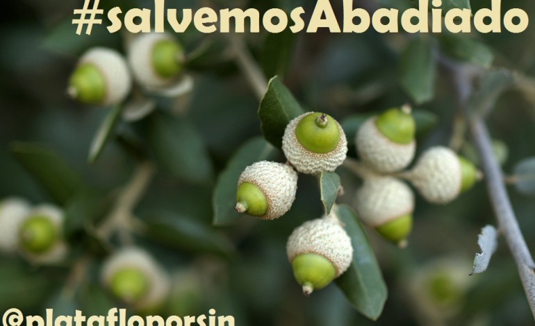 La Plataforma Loporzano SIN Ganadería Intensiva lanza la campaña “Salvemos El Abadiado”