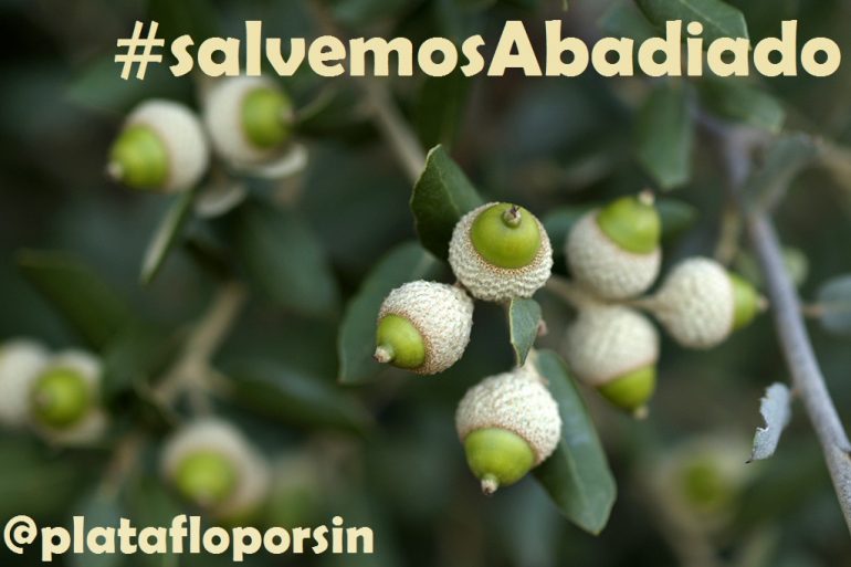 La Plataforma Loporzano SIN Ganadería Intensiva lanza la campaña “Salvemos El Abadiado”