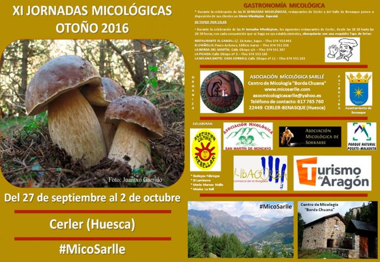 Atrévete con la micología en Cerler !!