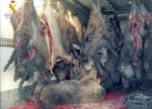 La Guardia Civil de Huesca interviene más de 11 toneladas de carne de caza en el Alto Gállego