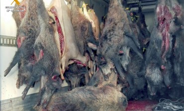La Guardia Civil de Huesca interviene más de 11 toneladas de carne de caza en el Alto Gállego