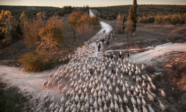 GRHUSA, el IES Pirámide, la asociación Castillo de Troncedo, Ronda Somontano y Susana Girón, nombres de los Félix de Azara