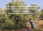 Nueva convocatoria de Fot-Oleo, el concurso fotográfico sobre la oleicultura que premia al ganador con su peso en litros de aceite de oliva