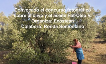 Nueva convocatoria de Fot-Oleo, el concurso fotográfico sobre la oleicultura que premia al ganador con su peso en litros de aceite de oliva