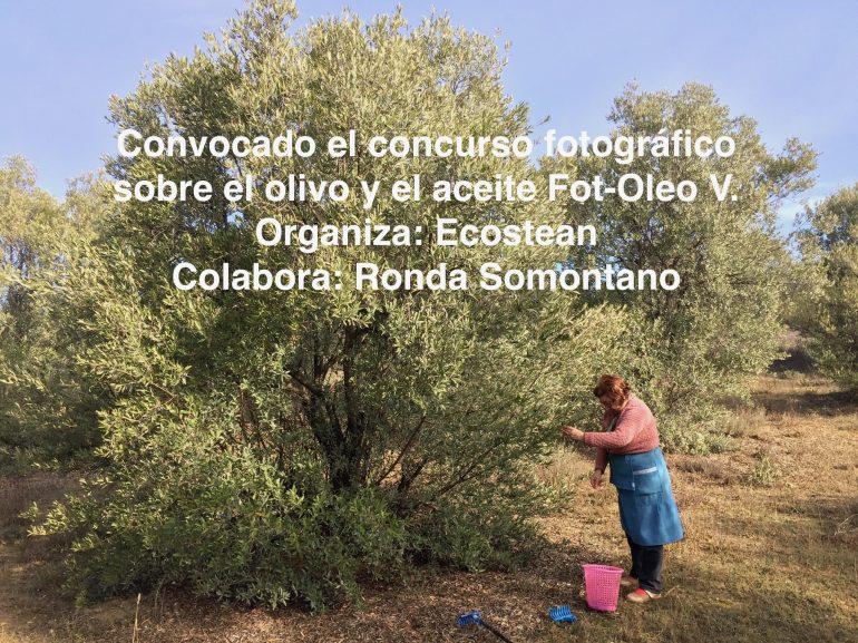 Nueva convocatoria de Fot-Oleo, el concurso fotográfico sobre la oleicultura que premia al ganador con su peso en litros de aceite de oliva