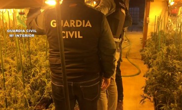 La Guardia Civil detiene en Fraga a seis personas e interviene más de 3.000 plantas de marihuana