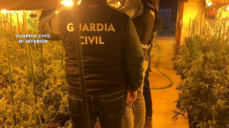 La Guardia Civil detiene en Fraga a seis personas e interviene más de 3.000 plantas de marihuana