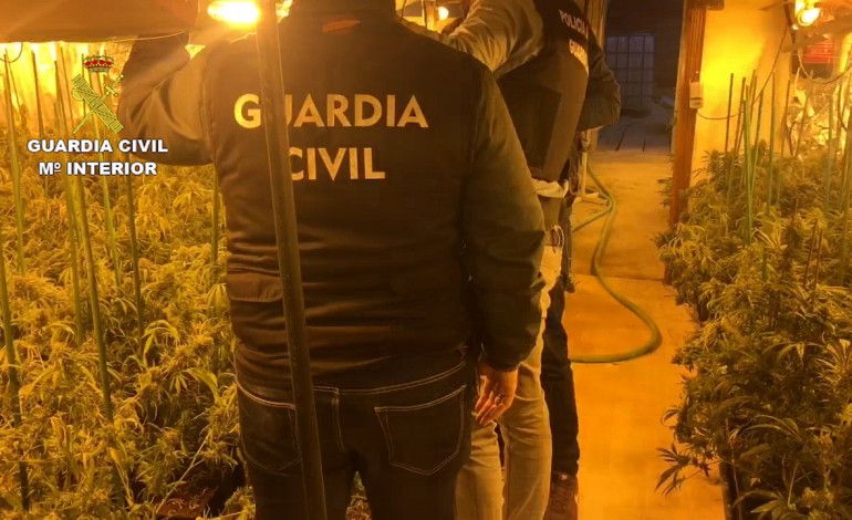 La Guardia Civil detiene en Fraga a seis personas e interviene más de 3.000 plantas de marihuana