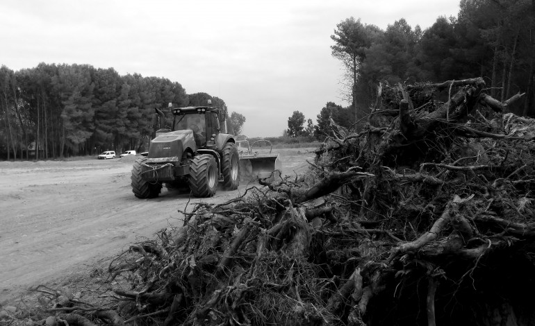 Ecologistas en Acción denuncia la inadecuada ubicación del nuevo campo de rugby