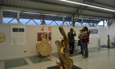 Más de 200 estudiantes ya se han inscrito en las visitas guiadas a la exposición "La memoria de los árboles", que se inauguró ayer