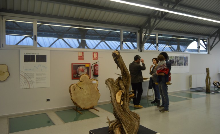 Más de 200 estudiantes ya se han inscrito en las visitas guiadas a la exposición "La memoria de los árboles", que se inauguró ayer