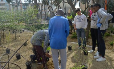 Plantación en el Parque del Encuentro