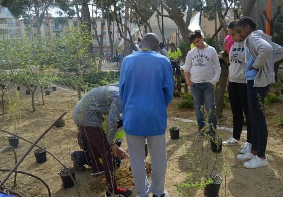 Plantación en el Parque del Encuentro
