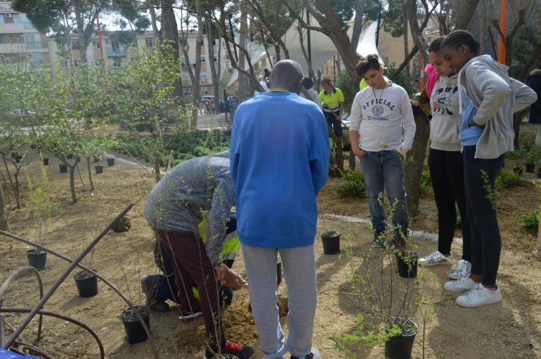 Plantación en el Parque del Encuentro