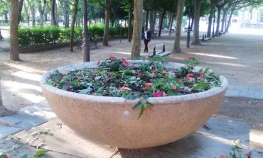 Los daños al patrimonio vegetal de los espacios verdes de la ciudad cuestan más de 11.000 euros al Ayuntamiento