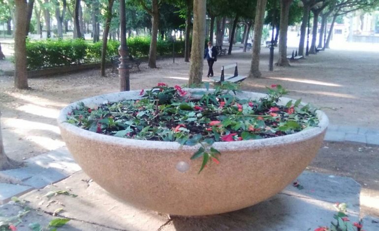 Los daños al patrimonio vegetal de los espacios verdes de la ciudad cuestan más de 11.000 euros al Ayuntamiento