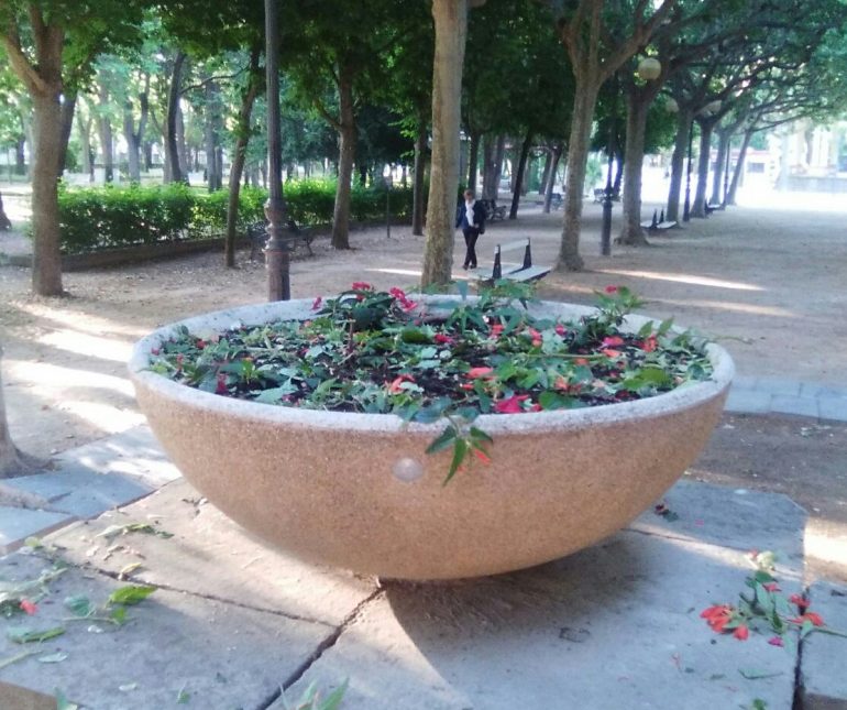 Los daños al patrimonio vegetal de los espacios verdes de la ciudad cuestan más de 11.000 euros al Ayuntamiento