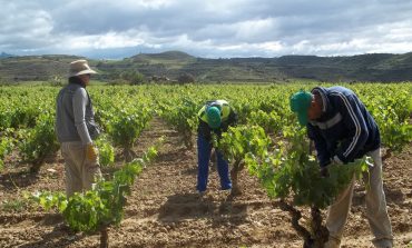 Los agricultores del Bajo Cinca protestan por el precio de la fruta