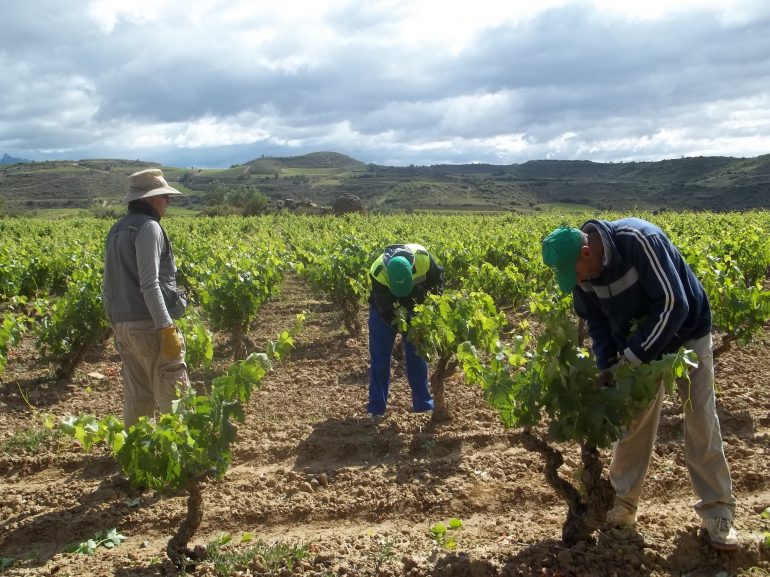 Los agricultores del Bajo Cinca protestan por el precio de la fruta