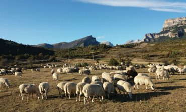 UAGA manifiesta su preocupación por la sequía en el Pirineo