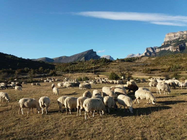 UAGA manifiesta su preocupación por la sequía en el Pirineo