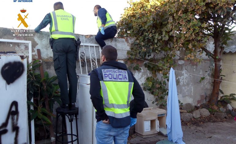 Dos detenidos por el cultivo de plantaciones de marihuana en terrazas particulares
