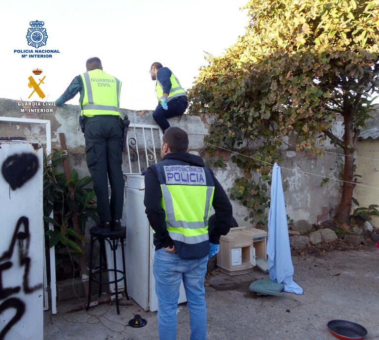 Dos detenidos por el cultivo de plantaciones de marihuana en terrazas particulares