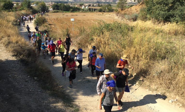 La segunda Andada y marcha popular de Down Huesca recorre Fonz este sábado