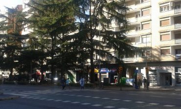 Ecologistas en Acción se posiciona sobre la posible tala de cedros en la Avenida Ramón y Cajal
