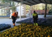 Comienza la campaña de plantación de invierno con 18.500 unidades