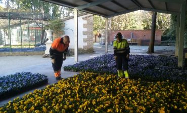 Comienza la campaña de plantación de invierno con 18.500 unidades