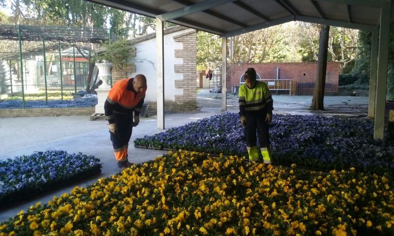 Comienza la campaña de plantación de invierno con 18.500 unidades