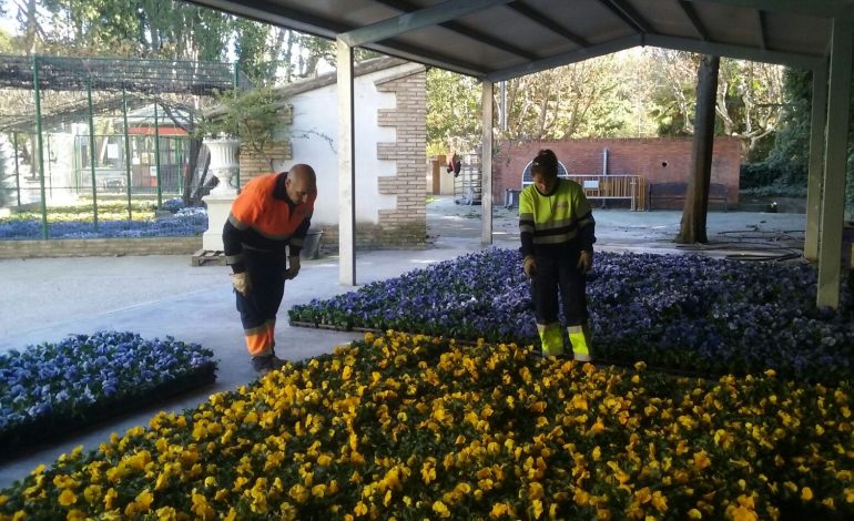 Comienza la campaña de plantación de invierno con 18.500 unidades