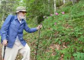 Homenaje en la DPH a Pedro Montserrat, el hombre que vivía para las plantas