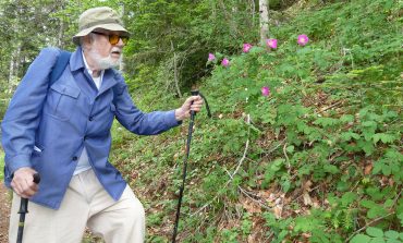 Homenaje en la DPH a Pedro Montserrat, el hombre que vivía para las plantas