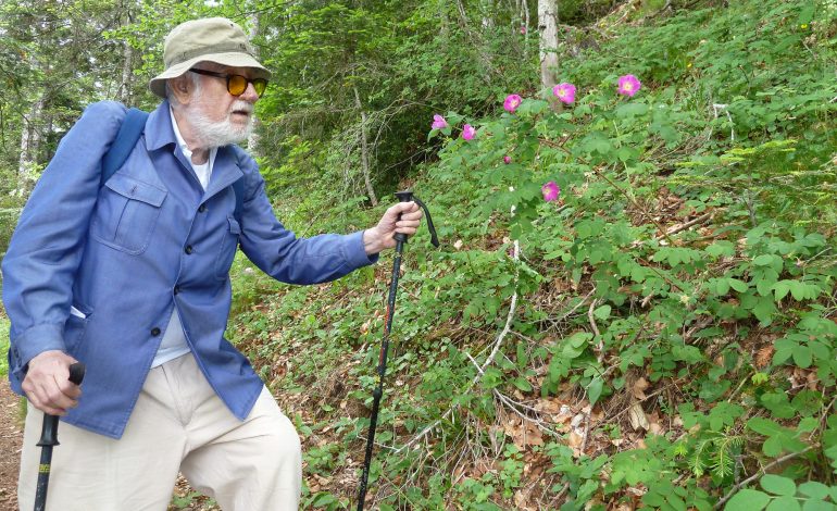 Homenaje en la DPH a Pedro Montserrat, el hombre que vivía para las plantas