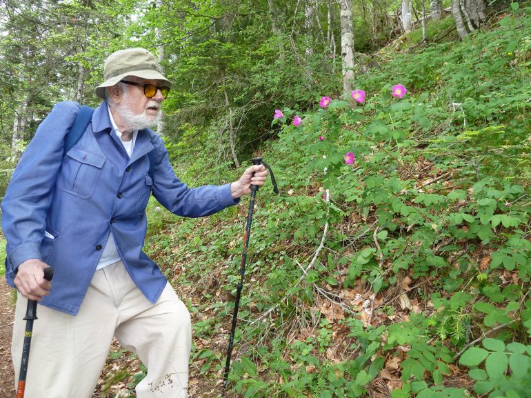 Homenaje en la DPH a Pedro Montserrat, el hombre que vivía para las plantas