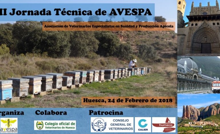 Huesca será sede en febrero de la II Jornada Técnica de AVESPA