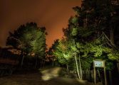 La visita nocturna a Lacuniacha una oportunidad única para conocer un Pirineo diferente