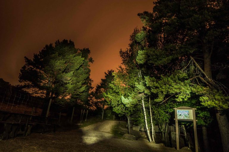 La visita nocturna a Lacuniacha una oportunidad única para conocer un Pirineo diferente