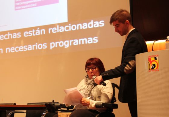Primer diagnóstico sobre la situación actual de las personas con discapacidad y dependencia en la provincia de Huesca