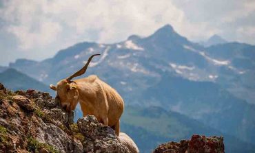 Esta tarde en Espacio Pirineos de Graus celebran San Francisco Javier