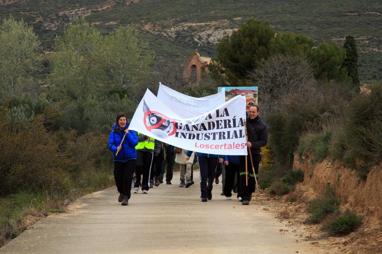 ﻿Normas “a medida” para la ganadería industrial en Aragón