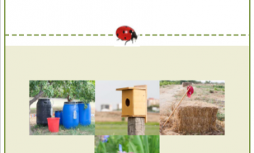 La Hoya Verde elabora un manual de prácticas agroecológicas para huertos de autoconsumo