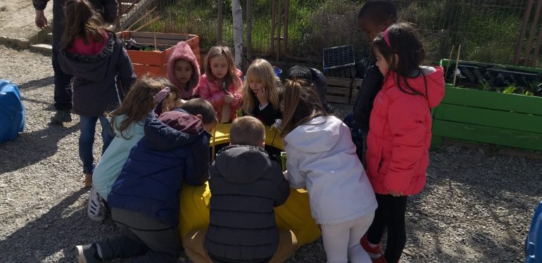 Los escolares de la Zona Oriental de Huesca recogen los frutos de sus huertos escolares