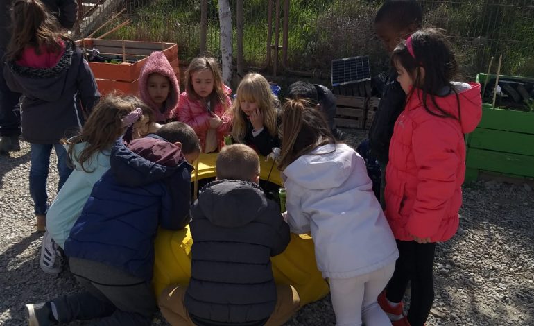 Los escolares de la Zona Oriental de Huesca recogen los frutos de sus huertos escolares