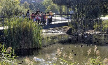 Más de 500 expertos de parques y jardines apostarán en Santander por la biodiversidad y las estructuras verdes como herramienta para crear espacios urbanos más habitables﻿