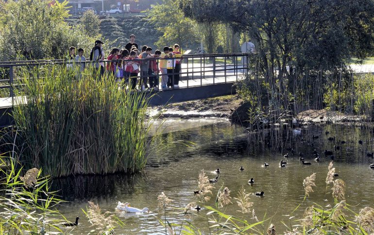 Más de 500 expertos de parques y jardines apostarán en Santander por la biodiversidad y las estructuras verdes como herramienta para crear espacios urbanos más habitables﻿